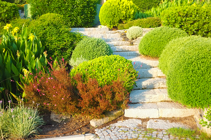 outdoor garden space