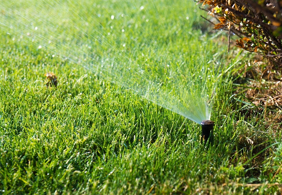 A garden Sprinkler