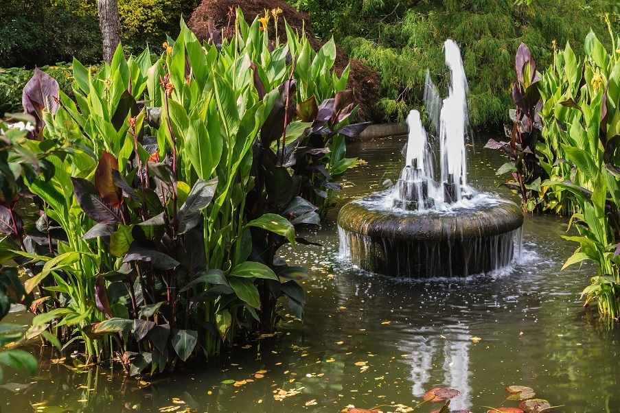 A fountain in a pond