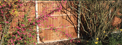 Fencing installation