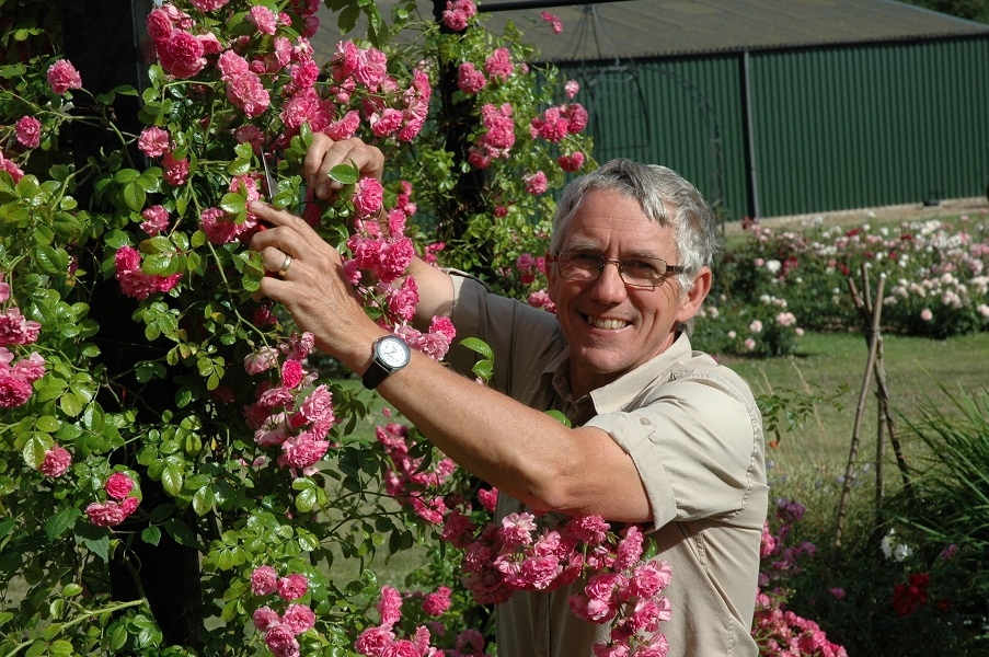 A man smiling at the camera whilst pruning a rose bush