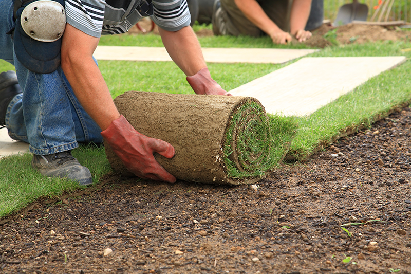 Lawn being laid