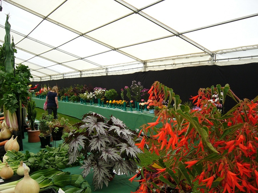 Inside a marquee showcasing flowers and produce 