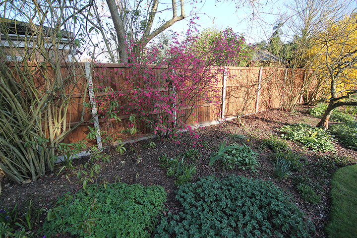 Wooden garden fencing system